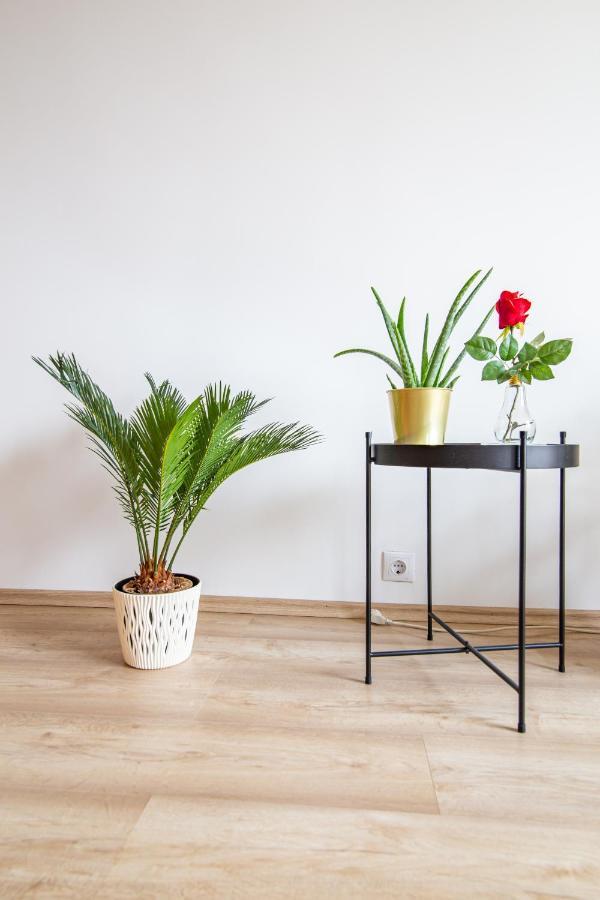 Best Rated Central Apartment Vienna - Ac, Wifi, 24H7Days Self Check-In, Board Games, Netflix מראה חיצוני תמונה